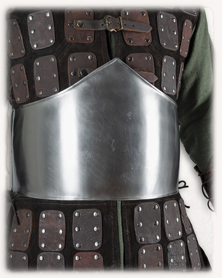 Friederich abdominal armour blank