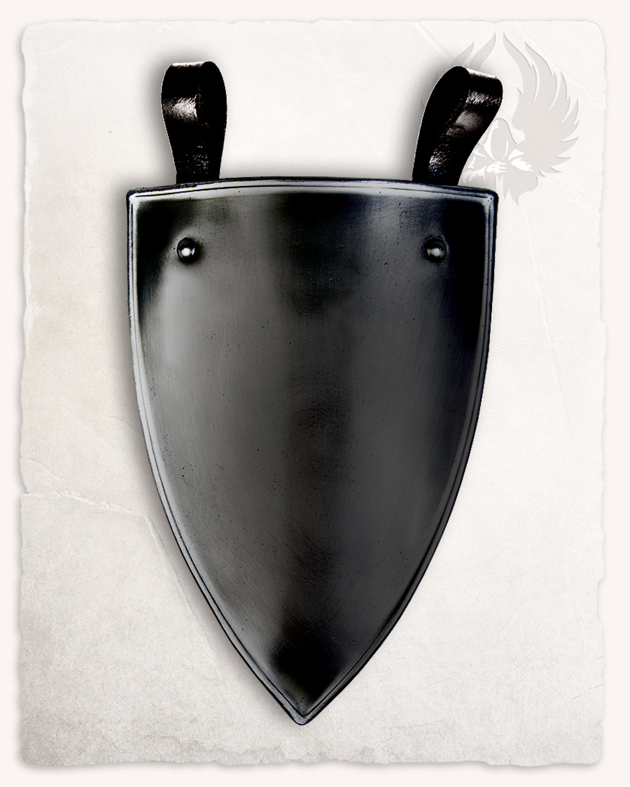 Gustav belt shield